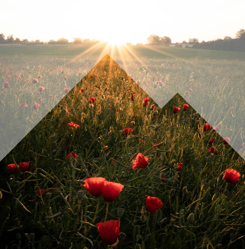 Allelon Hospice and Palliative Care