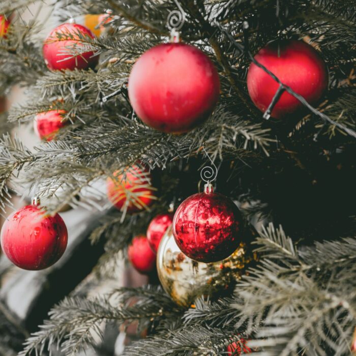 What to Expect From In-Home Hospice Care During the Holidays